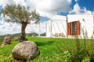 une maison blanche avec un arbre dans la cour dans l'établissement La casa di Memmi Suites & Rooms, à Santa Teresa Gallura