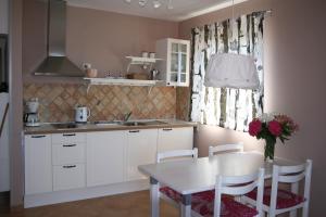 Kuchyň nebo kuchyňský kout v ubytování Apartments Roža