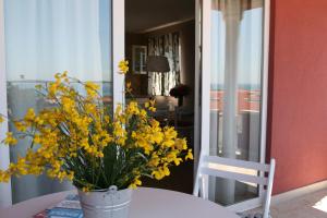 Fotografie z fotogalerie ubytování Apartments Roža v Medulinu