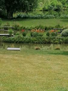 un jardin avec des fleurs et un étang dans l'établissement GITE COCOONING LE HAMEL, à Le Hamel