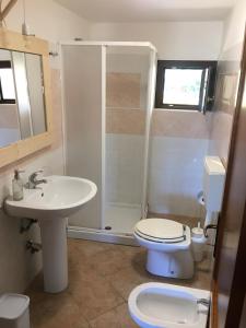 een badkamer met een toilet, een wastafel en een douche bij B&B Tavolara in Puntaldia