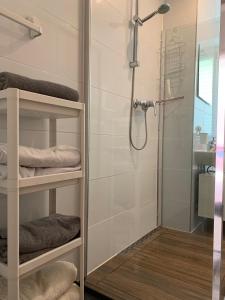 a bathroom with a shower with towels on shelves at Moderne Ferienwohnung für 5 Gäste in Oberwiesenthal in Kurort Oberwiesenthal