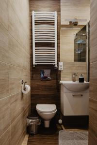 a bathroom with a toilet and a sink at Spadzista 2 in Kłodzko