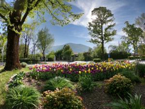 A garden outside Villa Ladurner