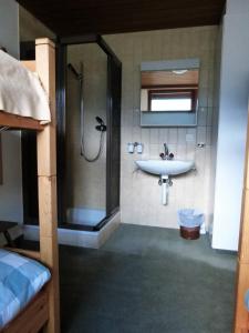 a bathroom with a sink and a shower at Penthouse Tgesa Tgampi T33 in Savognin