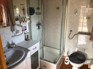 a bathroom with a shower and a sink and a toilet at Ferienhaus Möwenherz in Pruchten