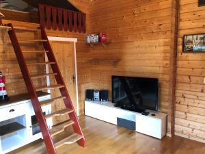 a living room with a tv and a wooden wall at Ferienhaus Möwenherz in Pruchten