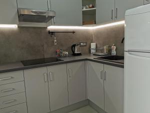 Kuhinja ili čajna kuhinja u objektu Dunavska Flat Apartment
