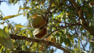 Foto dalla galleria di Casa delle Fate a Scicli
