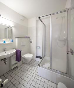 a bathroom with a shower and a toilet and a sink at Gästehaus am Markt - Leisnig in Leisnig