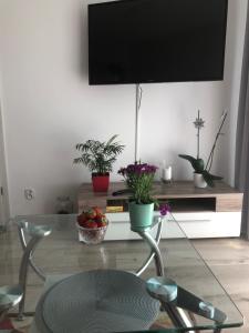 Televízia a/alebo spoločenská miestnosť v ubytovaní Kołobrzeg apartament Osiedle Bursztynowe ul baltycka 11 b