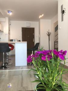 Fotografia z galérie ubytovania Kołobrzeg apartament Osiedle Bursztynowe ul baltycka 11 b v destinácii Kołobrzeg