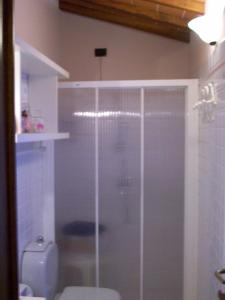 La salle de bains est pourvue de toilettes et d'une douche en verre. dans l'établissement Casa Daniela, à Pietrasanta