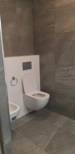 A bathroom at Flat Jindrichuv Hradec