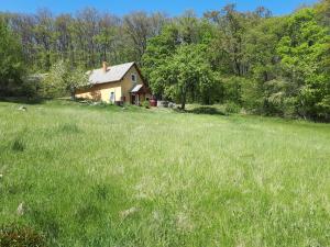 Fotografie z fotogalerie ubytování Cottage by the woods v destinaci Balatonhenye
