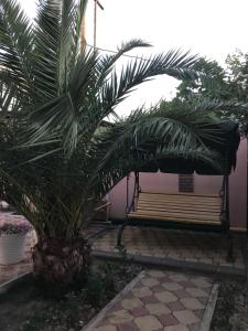 アドレルにあるAriana Guest Houseの椰子の木がある中庭のベンチ