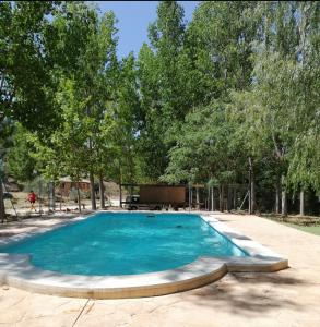 a large swimming pool in a park with trees at CABAÑAS RIO MUNDO in Riópar