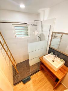 La salle de bains est pourvue d'un lavabo et d'une douche. dans l'établissement Villa Moai 974, à Saint-Leu