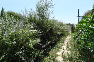 Foto dalla galleria di The stone a Città di Tinos