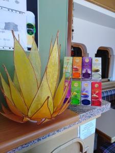 a bowl with a plant on top of a counter at Hotel B&B Francolini in Folgaria