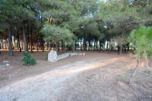 un parque con árboles y un camino de tierra en Le Pentume, en Arnesano