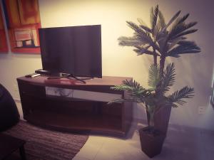 a tv sitting on top of a table with a plant at Apartamento Barão da Torre in Rio de Janeiro