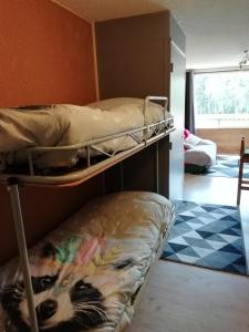 ein paar Etagenbetten in einem Zimmer in der Unterkunft Le Galibier in La Salle Les Alpes