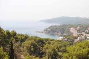 Príroda v okolí apartmánu