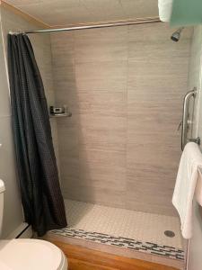 a shower with a shower curtain in a bathroom at Reynolds House inn in Roscoe