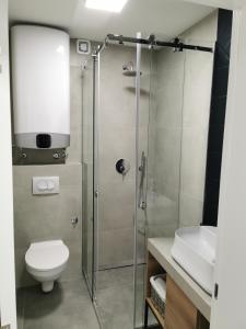 Kupatilo u objektu Dunavska Flat Apartment +16 fotografija