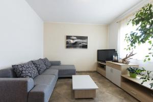 - un salon avec un canapé et une télévision dans l'établissement Apartment Carmen, à Pula