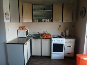 Kuchyň nebo kuchyňský kout v ubytování Apartments Jasna