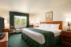 Ένα ή περισσότερα κρεβάτια σε δωμάτιο στο Travelodge by Wyndham Dunsmuir