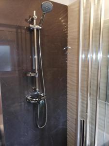 a shower with a shower head in a bathroom at Apartments Jasna in Rab