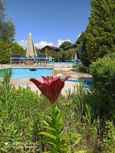 Foto dalla galleria di Hotel Sunset Troia a Dalyanköy