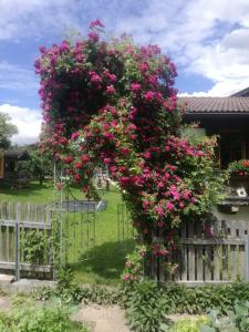 een hek met een bos roze bloemen erop bij Ferienhaus Oberhuben in Fügenberg