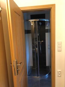 a shower with a glass door in a bathroom at Kameňácká myslivna in Moravany +60 photos
