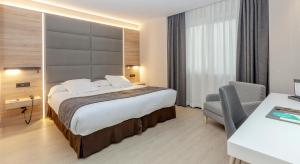 um quarto de hotel com uma cama e uma secretária em Hotel Liabeny em Madri