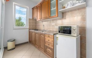 Kuchyň nebo kuchyňský kout v ubytování Apartment Raul in Dajla