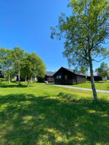 een boom in een veld met een gebouw op de achtergrond bij Saltstraumen Hotels Hytter in Knapplund