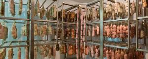 Fotografie z fotogalerie ubytování Costa D'Orsola v destinaci Pontremoli
