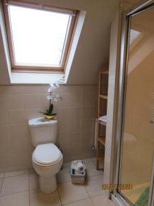 a bathroom with a toilet and a window and a shower at The Thatched Cottage B&B in Claregalway