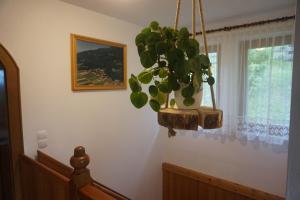 Fotografia z galérie ubytovania Berghaus Alberta v destinácii Michelsberg