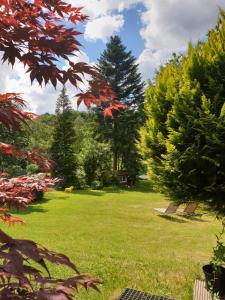 a park with trees and a bench in the grass at Kieler Eiderparadies in Flintbek