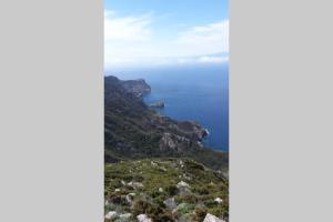 Foto dalla galleria di Casa Elicriso a Porto Vecchio