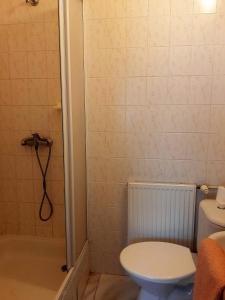 a bathroom with a shower with a toilet and a sink at Penzion Bezděkov in Rakovník