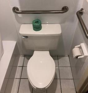 Ένα μπάνιο στο Roadstar Hotel Zephyrhills