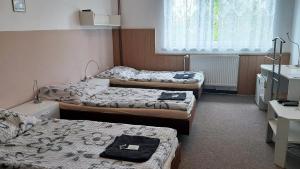 Posteľ alebo postele v izbe v ubytovaní Penzion Bezděkov