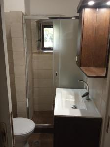 a small bathroom with a sink and a toilet at Archontiko Anastasia in Choudetsi