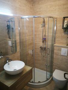 Billede fra billedgalleriet på Apartments Marija i Bibinje